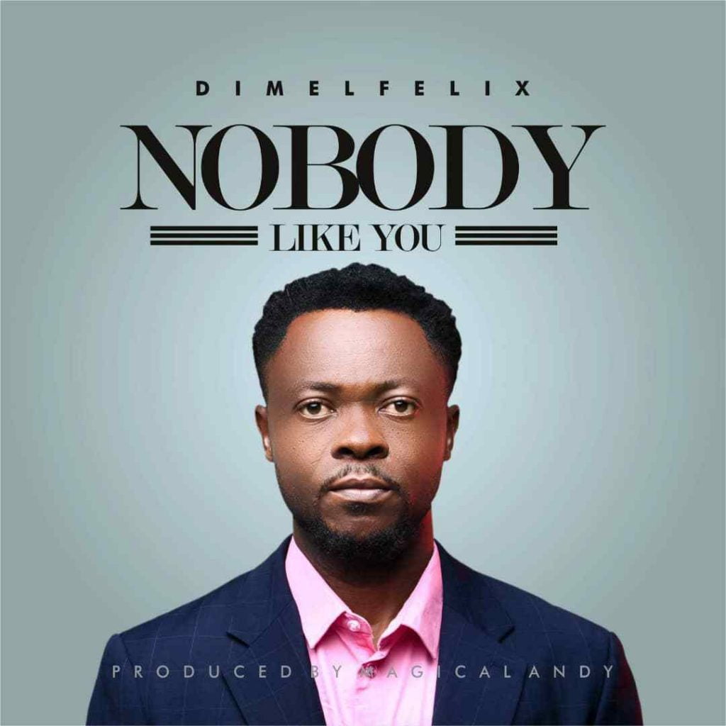 Download Music Nobody like you Mp3 By Dimel Felix